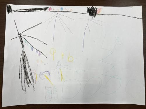 星と花火とブルーベリー