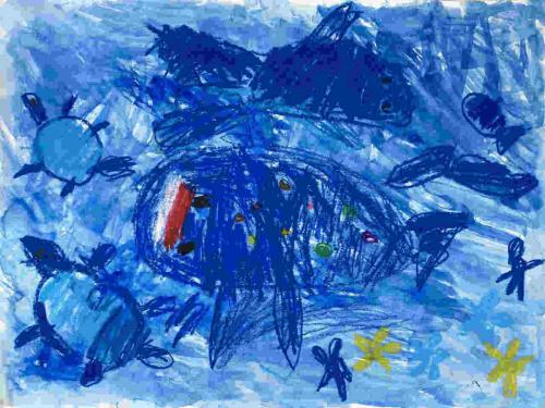 うみのおさんぽ